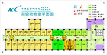 平面图-2